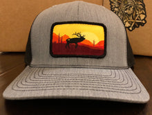 Desert Elk